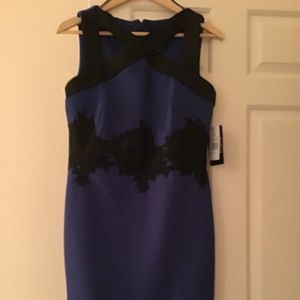 NWT JAX DRESS SAPPHIRE BLUE
